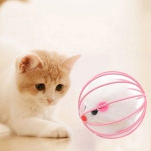 import placeholder for 9311