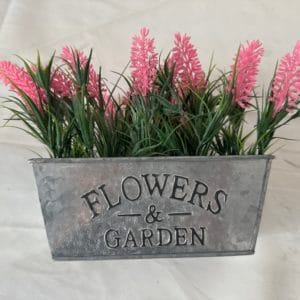 import placeholder for 323659