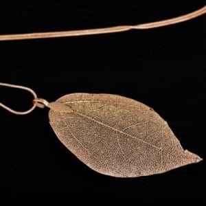 import placeholder for 8298