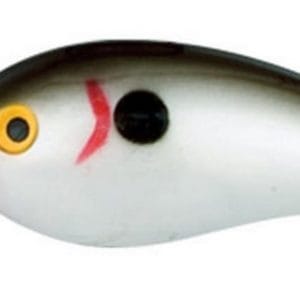 import placeholder for 323348