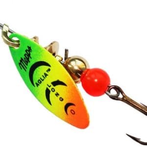 import placeholder for 323366