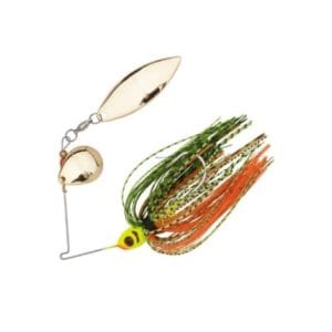 import placeholder for 323546