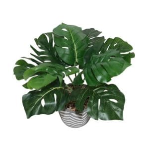 lerman decor's green potted plant