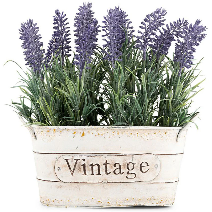 import placeholder for 323495