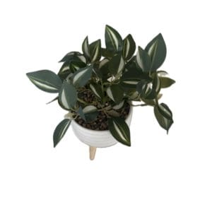 import placeholder for 327929