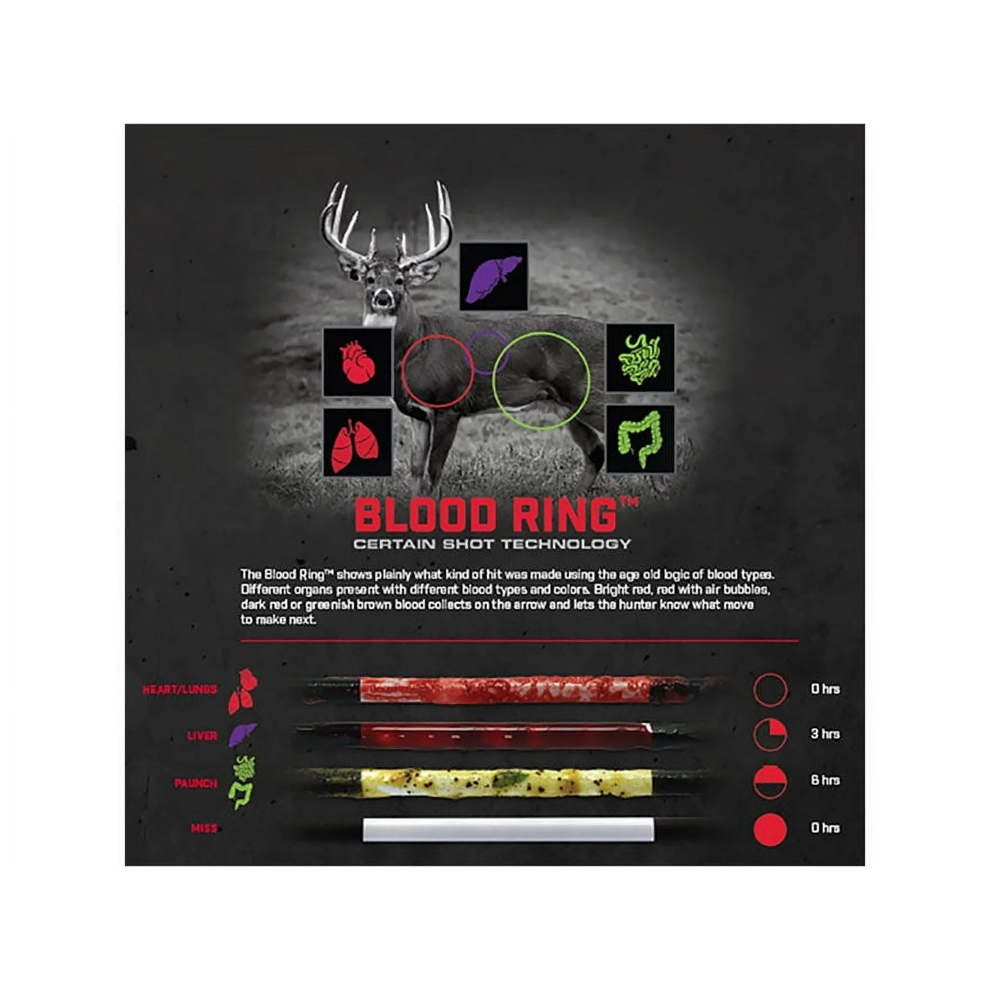 bloodsport hunter extreme carbon arrows with blood ring, 6 pack