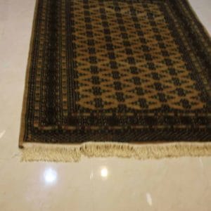 import placeholder for 5995