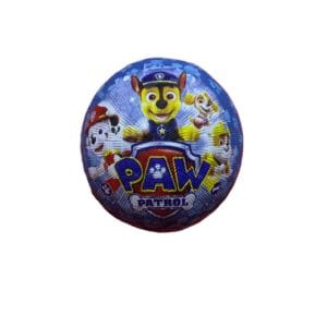 paw patrol sports ball