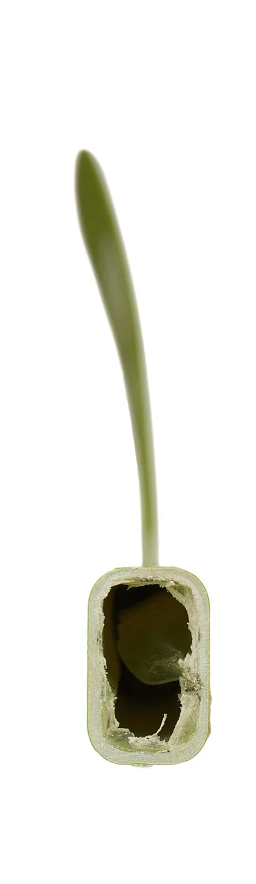 winnwell q5 hockey stick