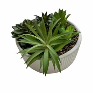 import placeholder for 331612